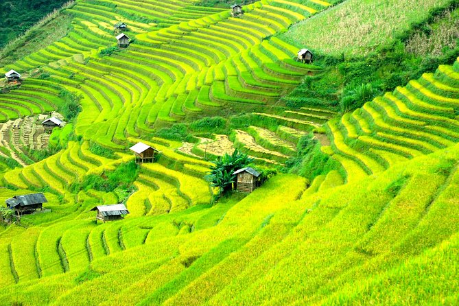 Sapa 2D1N Trekking to Giang Ta Chai Village from Hanoi by Bus - Guide quality and group size
