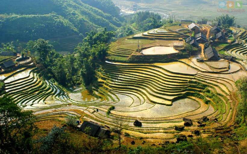 Sapa: Half Day Treck To Visit Y Linh Ho , Lao Chai, Ta Van - Should you book the Y Linh Ho, Lao Chai, and Ta Van trek?