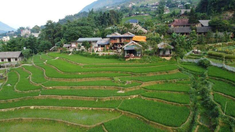 Sapa: Half Day Treck To Visit Y Linh Ho , Lao Chai, Ta Van - Local lunch after the hard part