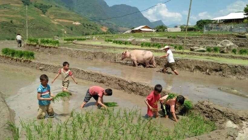 Sapa: Half Day Treck To Visit Y Linh Ho , Lao Chai, Ta Van - Shuttle return to Sapa and the practical details