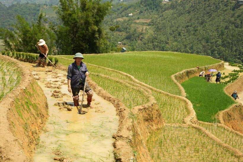 Sapa: Half Day Treck To Visit Y Linh Ho , Lao Chai, Ta Van - Who should book this Sapa walk