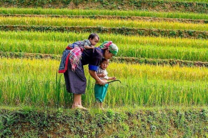 Sapa: Half Day Treck To Visit Y Linh Ho , Lao Chai, Ta Van - Leaving Sapa for Y Linh Ho and the hill villages