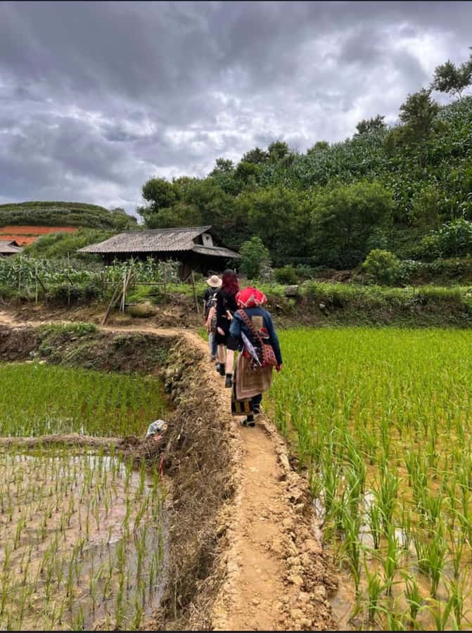 Sapa: Y Linh Ho - Lao Chai, and Ta Van Trekking Day Tour - Who should take this trek?