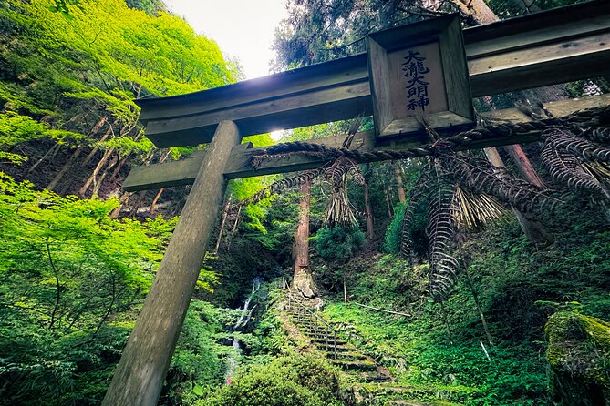 Scenic Green Tea Fields of Hidden Kyoto & Local Tea Exp (Private) - Why Kyoto’s tea country is worth the half-day