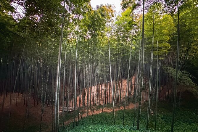 Scenic Green Tea Fields of Hidden Kyoto & Local Tea Exp (Private) - What the tour does especially well
