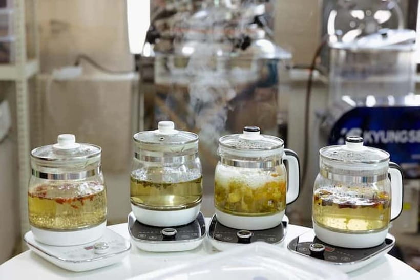 Seoul: Herbal Tea Class & Korean Medicine Tour - Visiting the Korean Medicine Museum at K-medi Center