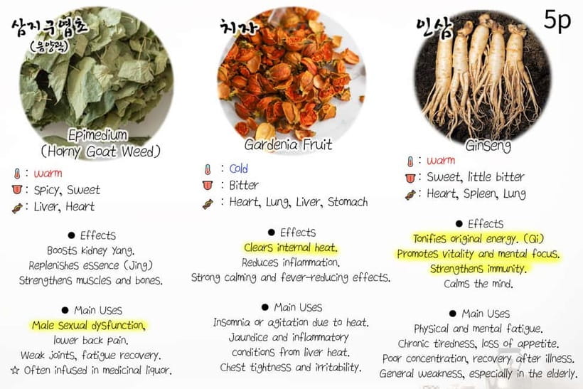 Seoul: Herbal Tea Class & Korean Medicine Tour - What the $50 price includes