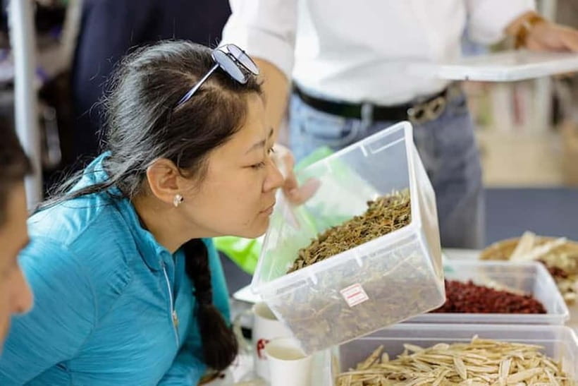 Seoul: Herbal Tea Class & Korean Medicine Tour - My recommendation for this Seoul herbal class