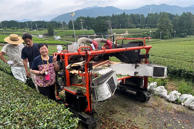 Shizuoka Tea Picking Private Experience - Inside a Wooden Tea Factory and House