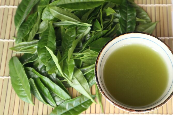 Shizuoka Tea Picking Private Experience - What the Guides Add to a Private Visit