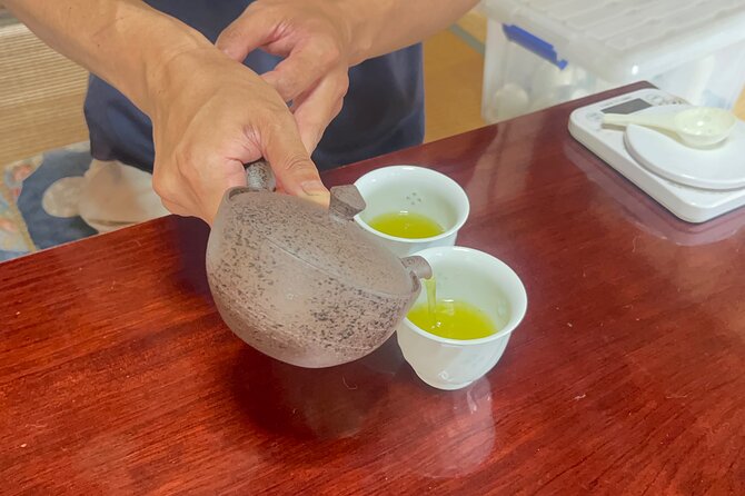 Shizuoka Tea Picking Private Experience - Is Two Hours Enough?