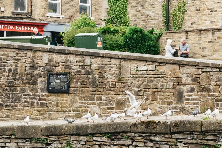 Skipton: 2-Hour Afternoon Tea Cruise - Two hours on the Leeds and Liverpool Canal