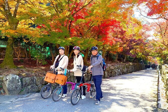Slow Cycling Tour at Uji's Matcha Green Tea Fields and Heritage - Key Points to Know Before Booking