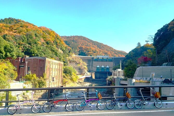 Slow Cycling Tour at Uji's Matcha Green Tea Fields and Heritage - Why Uji Works So Well by Bicycle