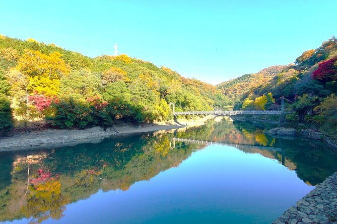 Slow Cycling Tour at Uji's Matcha Green Tea Fields and Heritage - Chazuna: Begin With Uji’s Tea Story