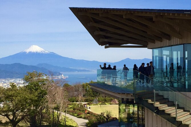 Small Group Japanese Green Tea Tasting in Shizuoka - Is $273.64 a fair price?