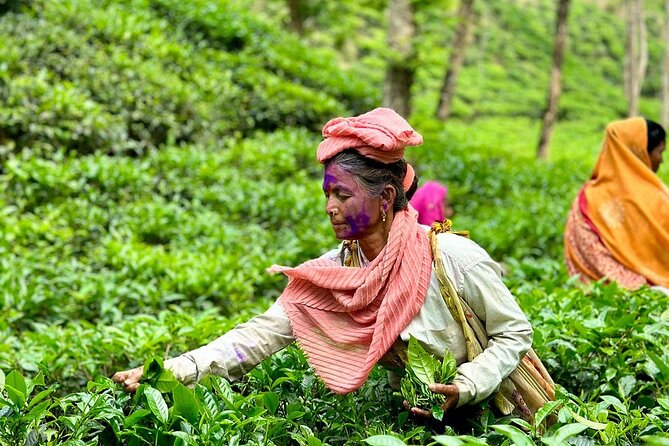 Sreemangal Tea Tour Experience Nature and Culture in a Local way - Leaving Dhaka by Parabat Express at 6:30 am