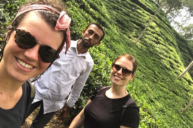 Srimangal nature tour in forest and tea garden - Why Srimangal works so well for a nature day