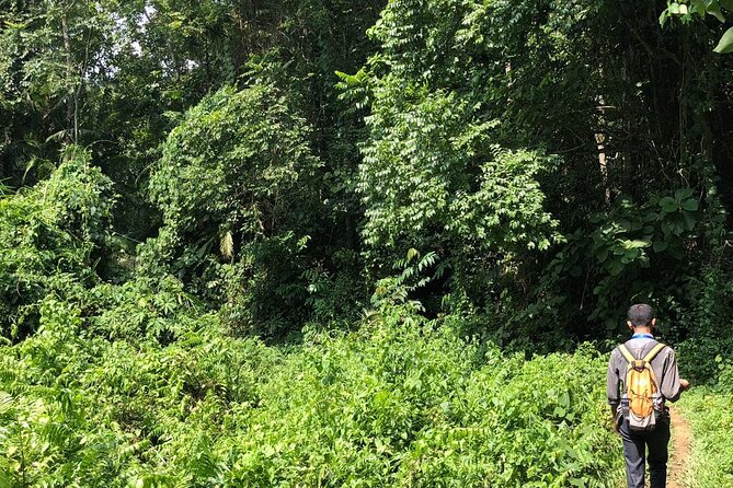 Srimangal nature tour in forest and tea garden - Walking through forest and tea gardens