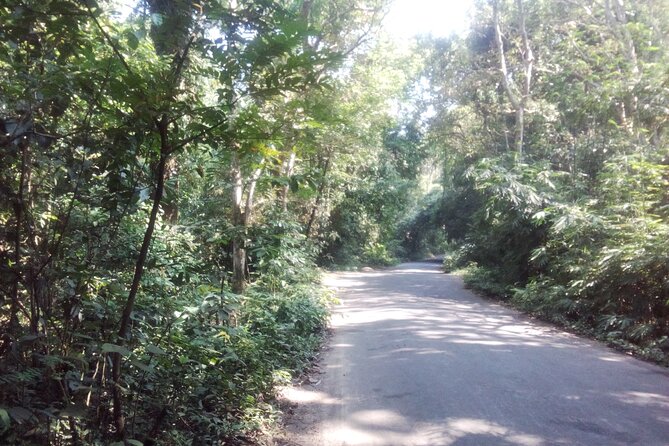 Srimangal nature tour in forest and tea garden - Tea gardens and the seven-color tea stop