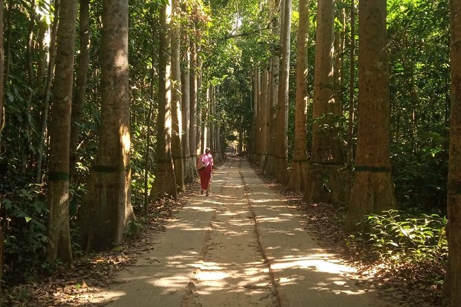 Srimangal nature tour in forest and tea garden - Learning about local tribes and the area’s human side