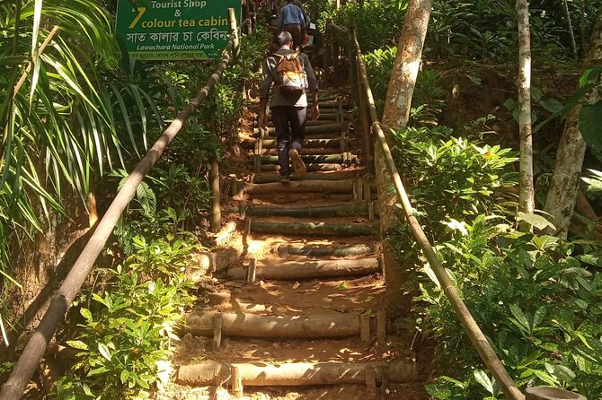 Srimangal nature tour in forest and tea garden - What the $50 price really covers