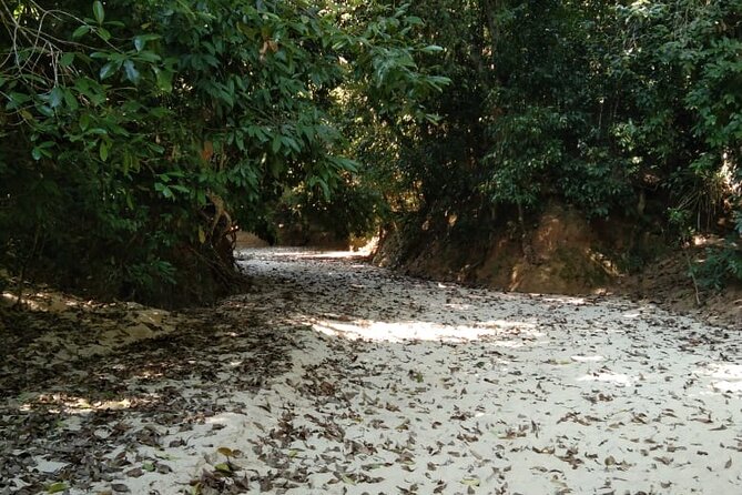 Srimangal nature tour in forest and tea garden - Who will enjoy this tour most