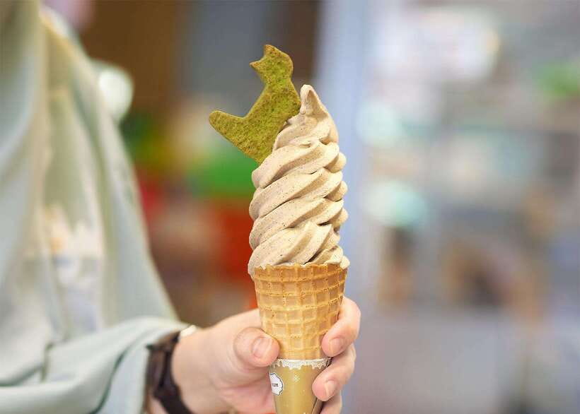 Taipei: Maokong Tea & Shenkeng Tofu Private Day Tour - Practical details that shape the day