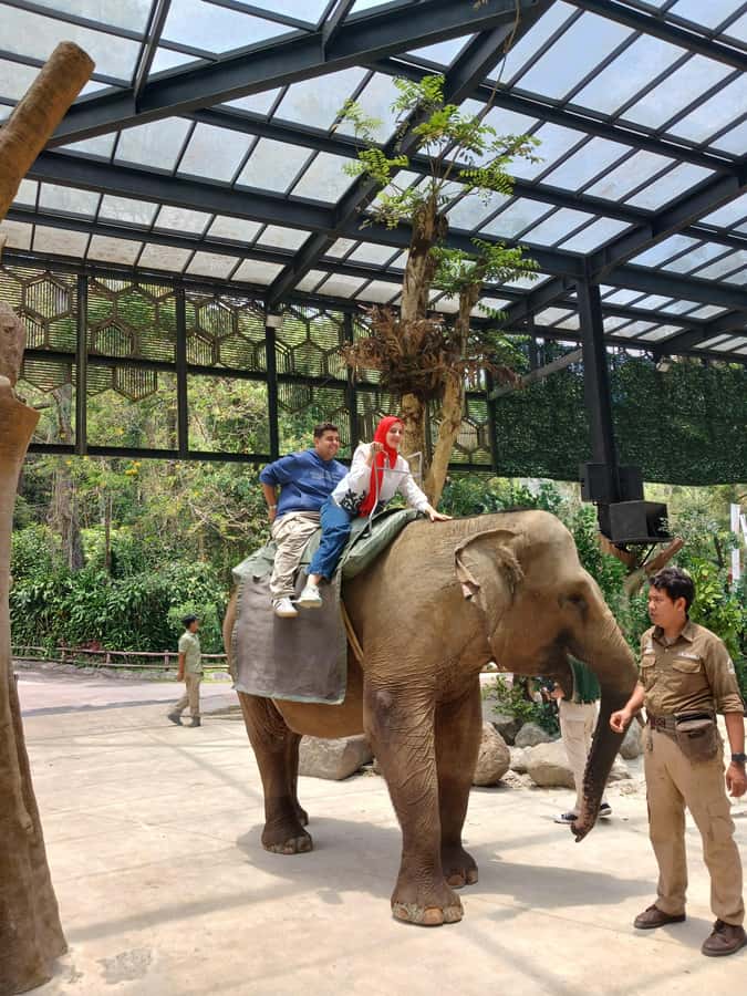 Taman Safari and Tea Plantation Tour at Puncak - Key points to know before booking