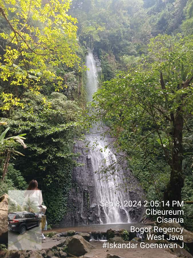 Taman Safari and Tea Plantation Tour at Puncak - Pandas, dolphins, and scheduled animal shows