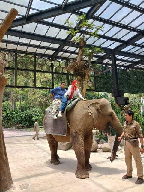 Taman Safari and Tea Plantation Tour at Puncak - Who will enjoy this private day most