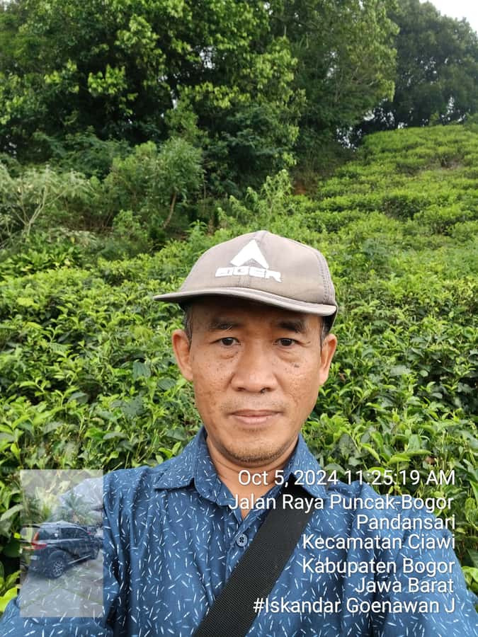 Taman Safari and Tea Plantation Tour at Puncak - Should you book the Taman Safari and tea tour?