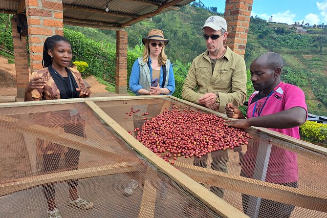 Tea and coffee tours - Why a farm visit adds something to Gisenyi