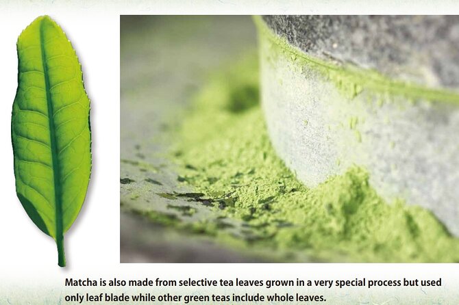 Tea Ceremony Workshop in Tokyo by the Experienced Instrucor - Making your own bowl of usucha