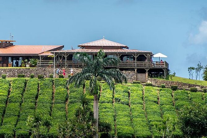 Tea Experience in the Exotic South of Mauritius Private tour. - Takamaka Boutique Winery adds a distinctly Mauritian drink
