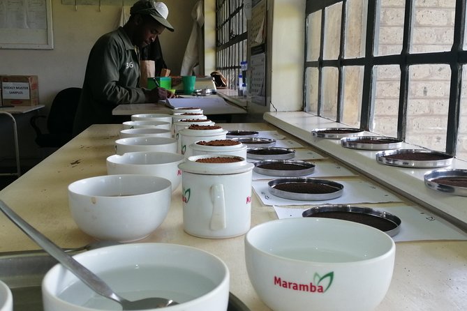 Tea Farm Experience at Riara Tea Farm And Factory Tour - Tea growing, hand by hand