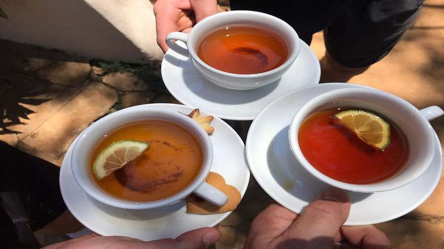 Tea Farm Tour From Nairobi (Kiambethu). - A green escape from Nairobi without a long safari