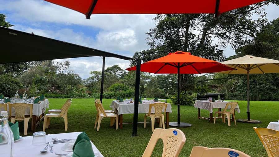 Tea Farm Tour From Nairobi (Kiambethu). - A generous three-course farm lunch