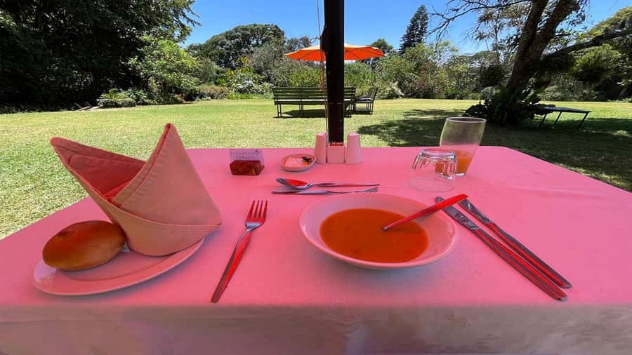 Tea Farm Tour From Nairobi (Kiambethu). - Tea and farm stories with Fiona