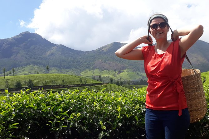 Tea Farm Tourism - Seeing Munnar through its tea bushes