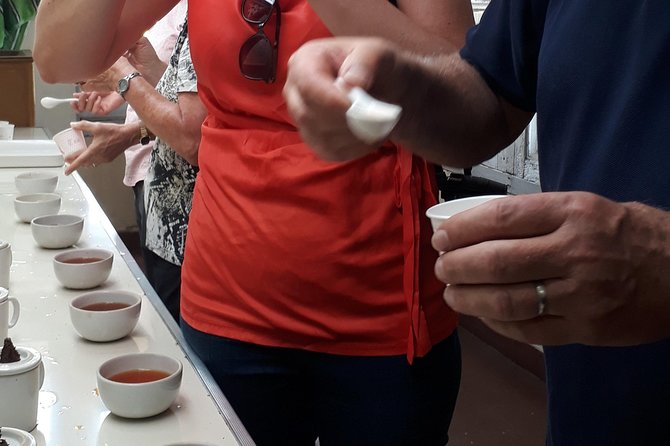 Tea Farm Tourism - A quiet cup after the walk