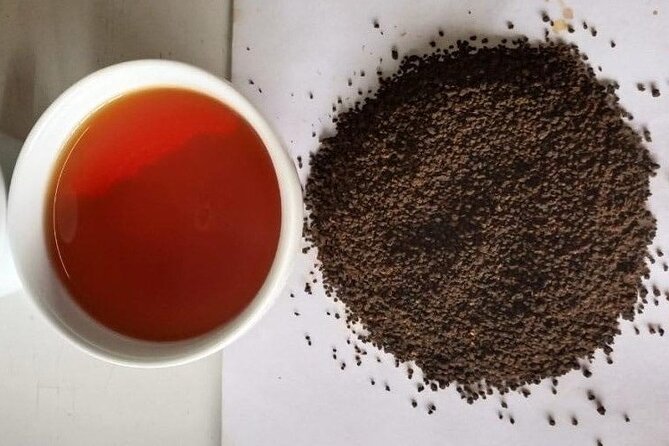 Tea Fields & Factory Tour - A clear explanation makes the factory worthwhile