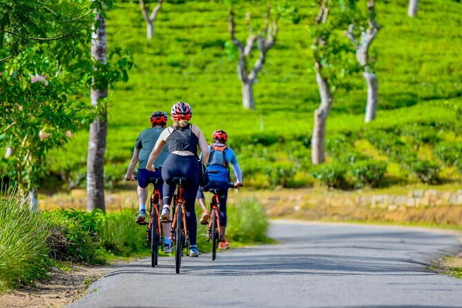 Tea Loops E-Biking - Bogawanthalawa Valley and the Castlereagh viewpoint