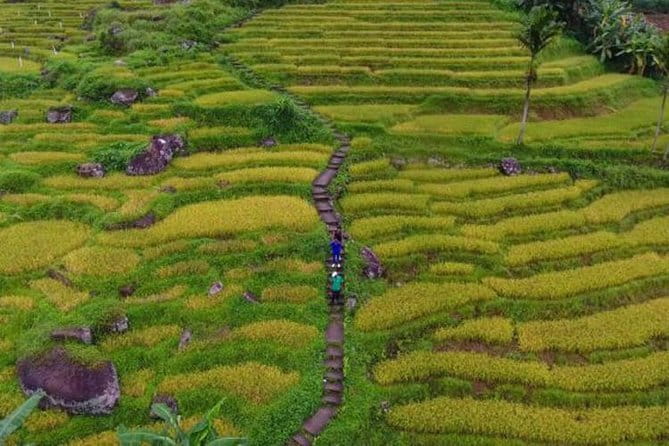 Tea Loops E-Biking - What the price includes, and what it does not