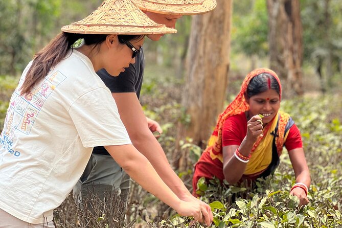Tea Plantation and Rainforest Tour with Tribal Life in Sreemangal - Why Sreemangal makes a good break from Dhaka