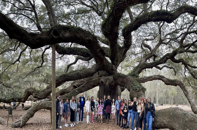 Tea Plantation and Winery Tour in Charleston - Deep Water Vineyard and the extra cost of tasting