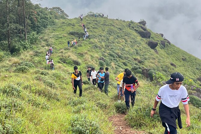 Tea Plantation, Grass Land and Mountain Hiking in Munnar - Key points at a glance