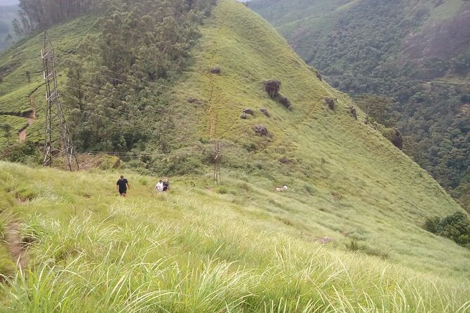 Tea Plantation, Grass Land and Mountain Hiking in Munnar - From Munnar’s bus depot to the first tea rows