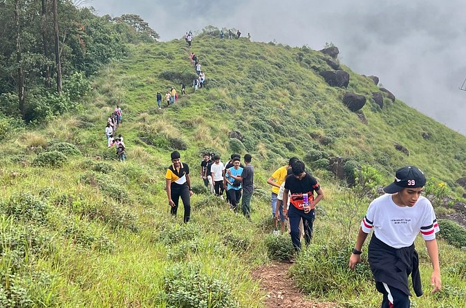 Tea Plantation, Grass Land and Mountain Hiking in Munnar - The descent and the four-hour pace