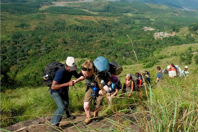 Tea plantation walk and stay in valley view Room (By Munnar Info) - Chithirapuram at sunset